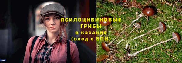 каннабис Гвардейск